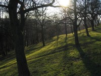 /album/prague1/prague-8-jpg/